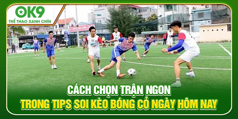 Cách Chọn Trận Ngon Trong Tips Soi Kèo Bóng Cỏ Ngày Hôm Nay